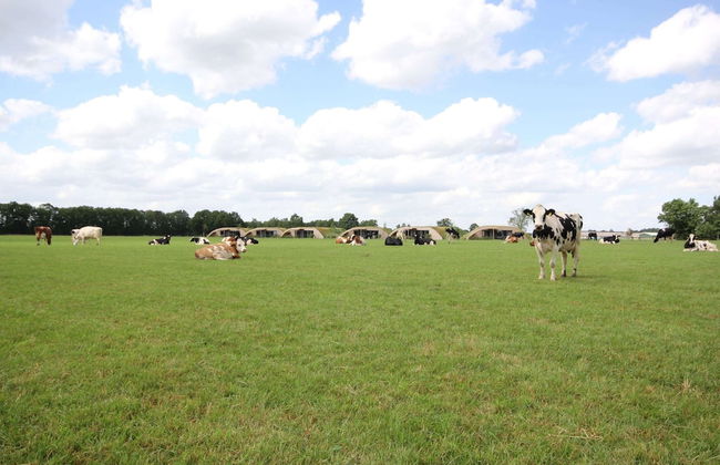 Apartment in Netherlands With Scenic Meadows - Photo 7