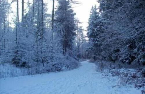 Hof Görrespesch-Ferien im Herzen der Schneifel - Foto 12