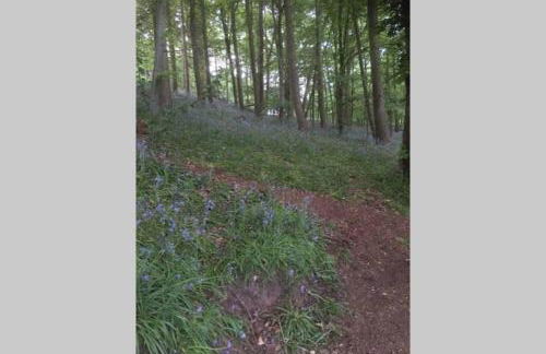 Cosy and Peaceful Maisonette with Terrace, Kidderminster - Foto 41