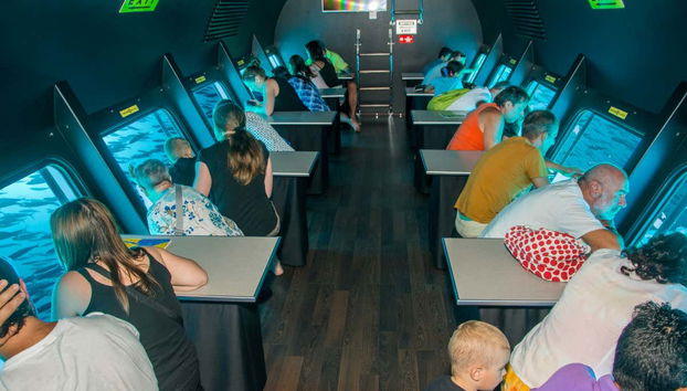 Enjoy the scenic views of the seabed