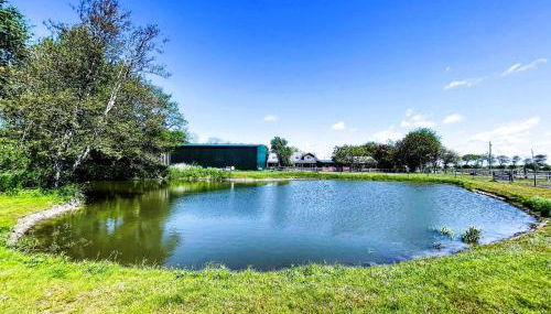 Ferienhof Reimers - Foto 2