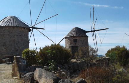 Casa de Coco - Foto 39