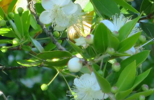 Prime and Exclusive Seafront Location Apartment Sunset - Foto 41