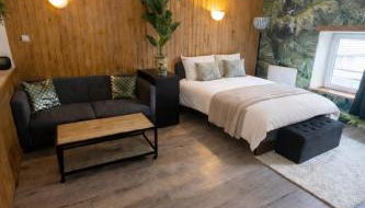 Jungle studio - Foto 4