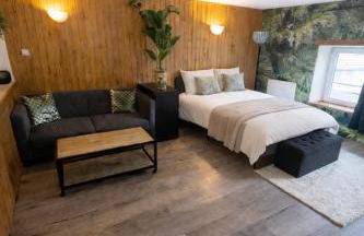 Jungle studio - Foto 4