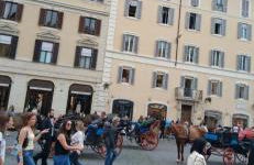 Vatican Apartaments Holiday in Roma - Foto 24