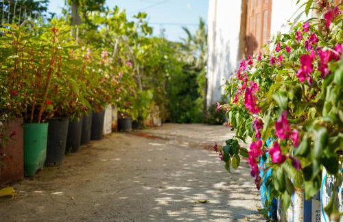 The Mesaktis River Rooms 1 - Foto 34