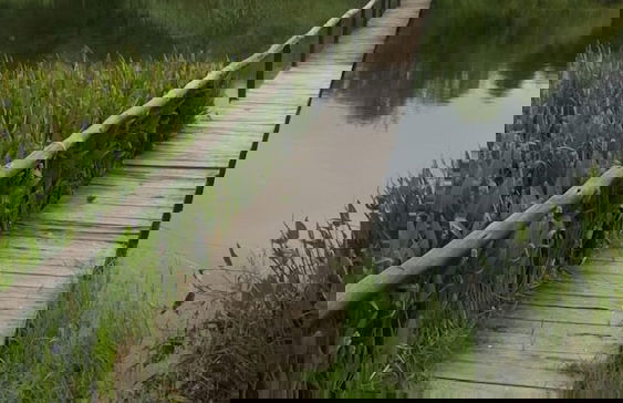 Bye Gums Cottage - Photo 28