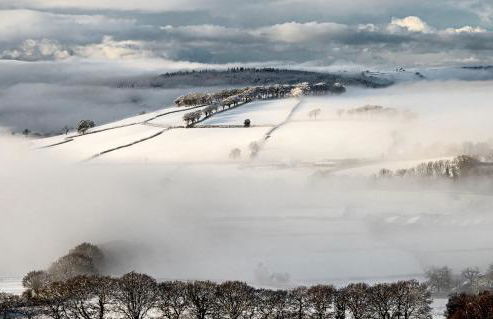 Coedmor Cottages - Foto 61