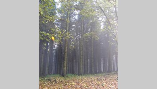 Upper Heath Farm - Stable Cottage Ludlow - Foto 5