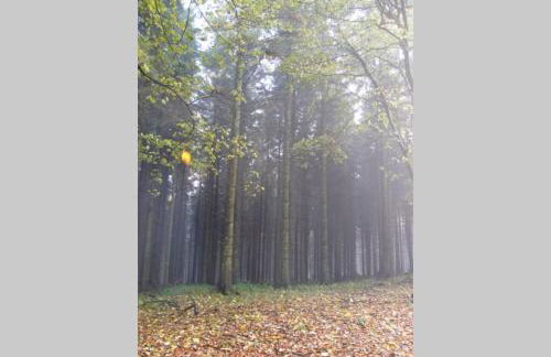 Upper Heath Farm - Stable Cottage Ludlow - Foto 5