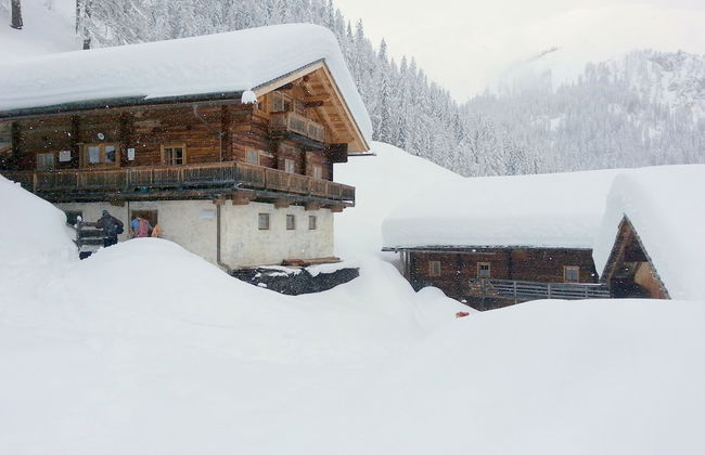 Ferienwohnungen am Berg - Almhütte Alfen - Foto 29