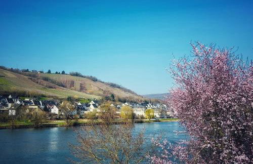 Happy Place Ferienwohnung mit Moselpanoramablick, Dachterrasse und Sauna - Foto 15