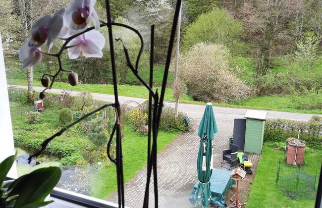 der Englische Garten - Photo 14