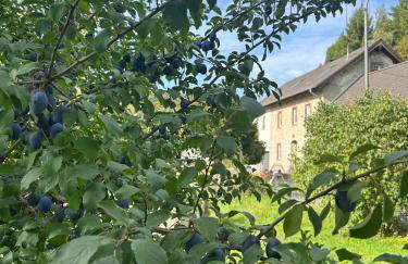 Ferienwohnung am Eifelsteig - Foto 23