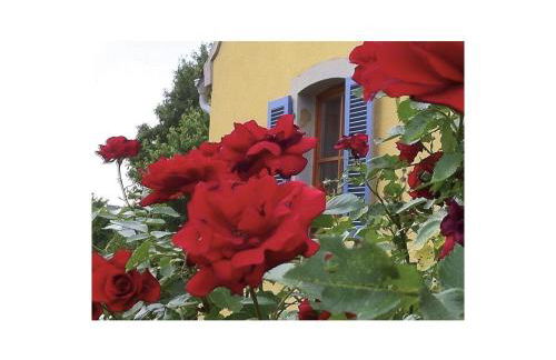 Atelier-Rapp - Foto 22