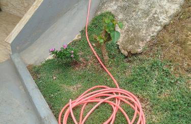 Chalé Pingo de Ouro - Foto 2