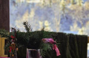 Klein Waldseele - Foto 37