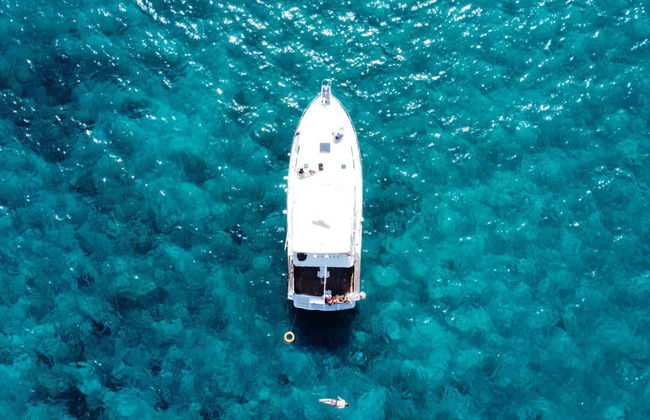 Avistamiento de cetáceos en Las Galletas - Foto 8