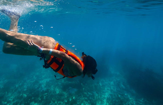 Snorkel em L'Ametlla de Mar - Foto 1