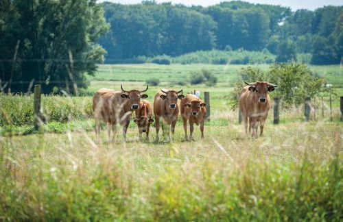 FELDGANG ein Gästehaus! - Foto 27