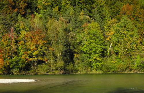 Malerhaus am Kolbergarten - Foto 47