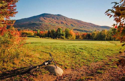 Burke Abode - Trailside Condo with King & Full Beds - Foto 23