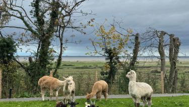 Galactic getaways MARS - Photo 5