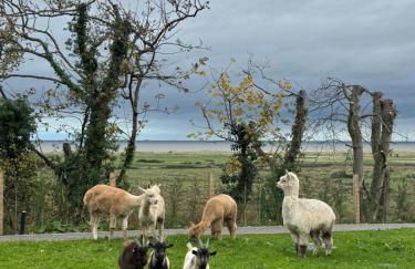 Galactic getaways MARS - Foto 5