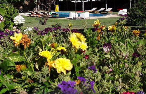 Casa Castedo do Douro - Foto 6