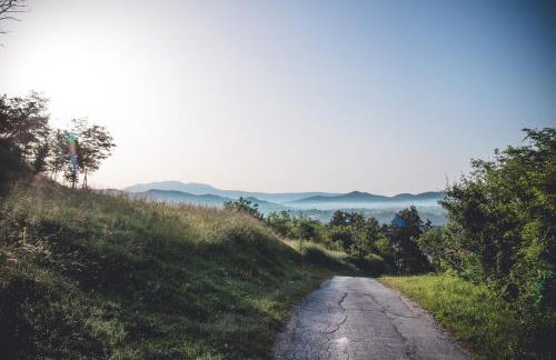 Farm stay Synergia - Hiden treasure - Photo 3