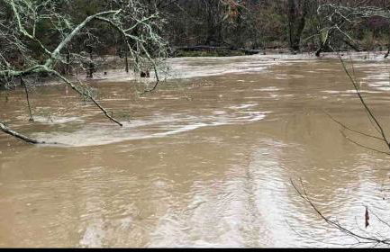 Beautiful Secluded Log Cabin - Foto 44