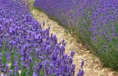 Maison de ville à proximité du centre historique - Foto 15