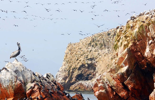 Tour di 3 giorni a Nazca, Ica e Paracas - Foto 1