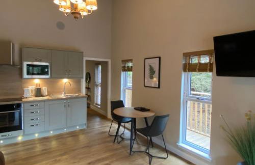 Holly Berry Lodge with Hot Tub - Foto 24