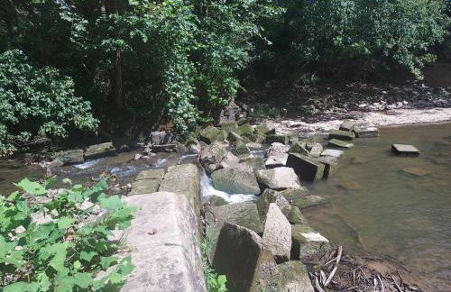 Peaceful Cabin on Rough River - Foto 22