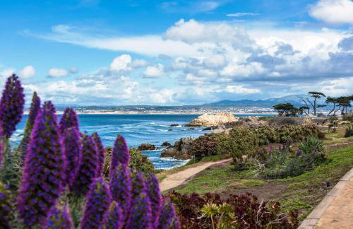 3987 Lovers Point Whitewater Cottage home - Foto 42