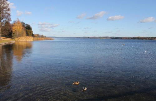 Seeblick 2 - Foto 28