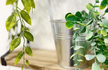 L'industriel de Kléber - Gare - Netflix - Calme - Photo 17