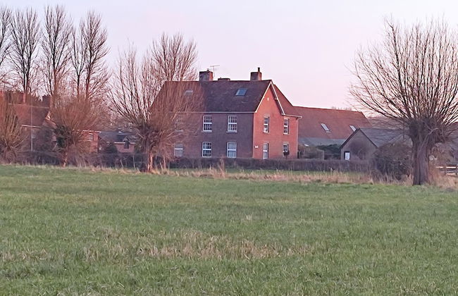 The Cheese House - Foto 1