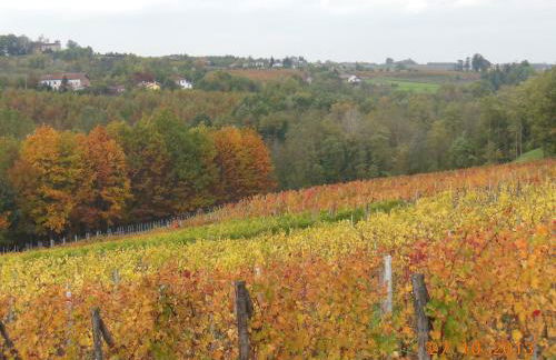 Agriturismo Cascina Tollu - Foto 31
