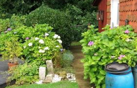 Ferienwohnung Im Waldwinkel - Foto 1