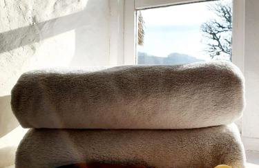 Cosy and unique Thatched Cottage on Dartmoor - Foto 5