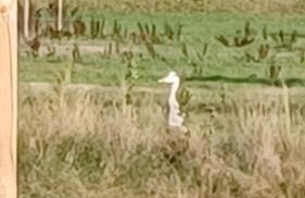 Apartment Mini-Loft am Schloss - Foto 22