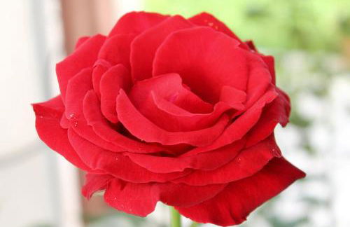 A casa di Alice – Alice's house – Chez Alice - Foto 31