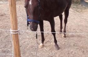 La Casetta della valle di Civita - Foto 30