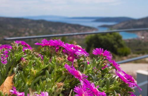 View Villas Collection - Foto 2