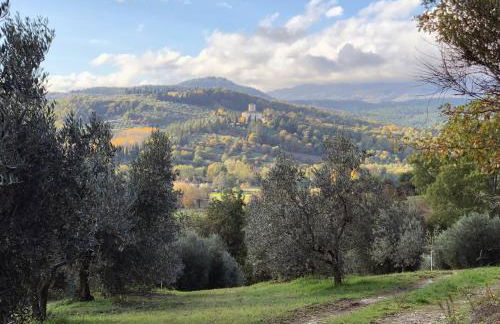 Palazzolo Resort - Anghiari - Foto 21