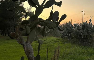 Villa Zoë - Foto 32