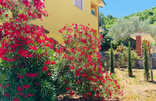 Radice Libera - Casa di campagna - Foto 20